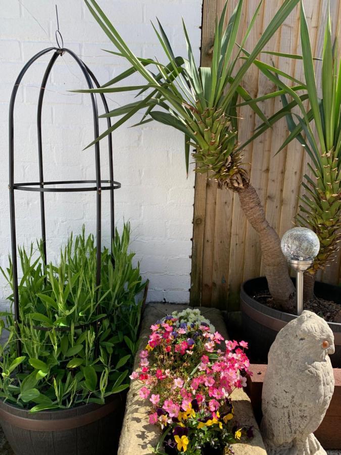 Oriel Cottage Pevensey Esterno foto